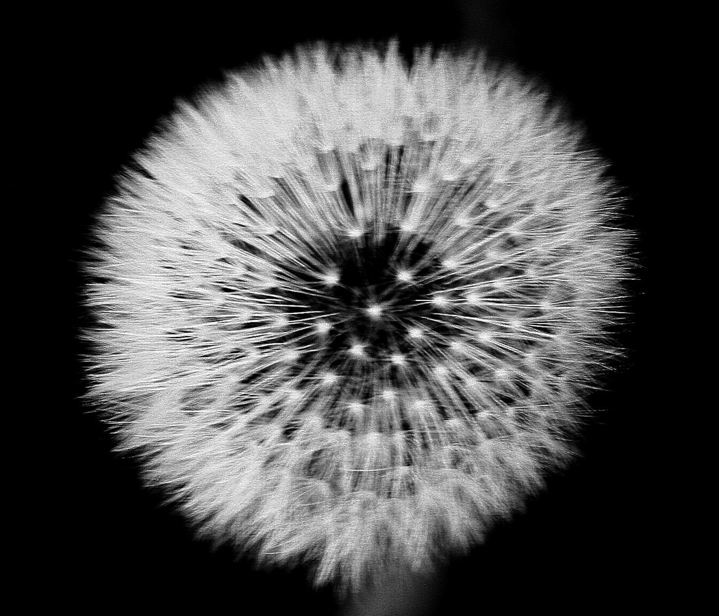 Just One Wish - Chris Rogers